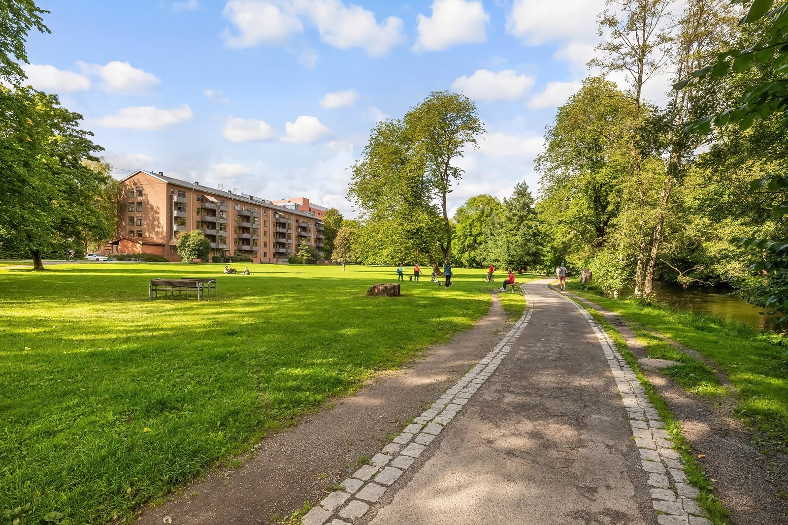 - Nærområdet - Galleribilde