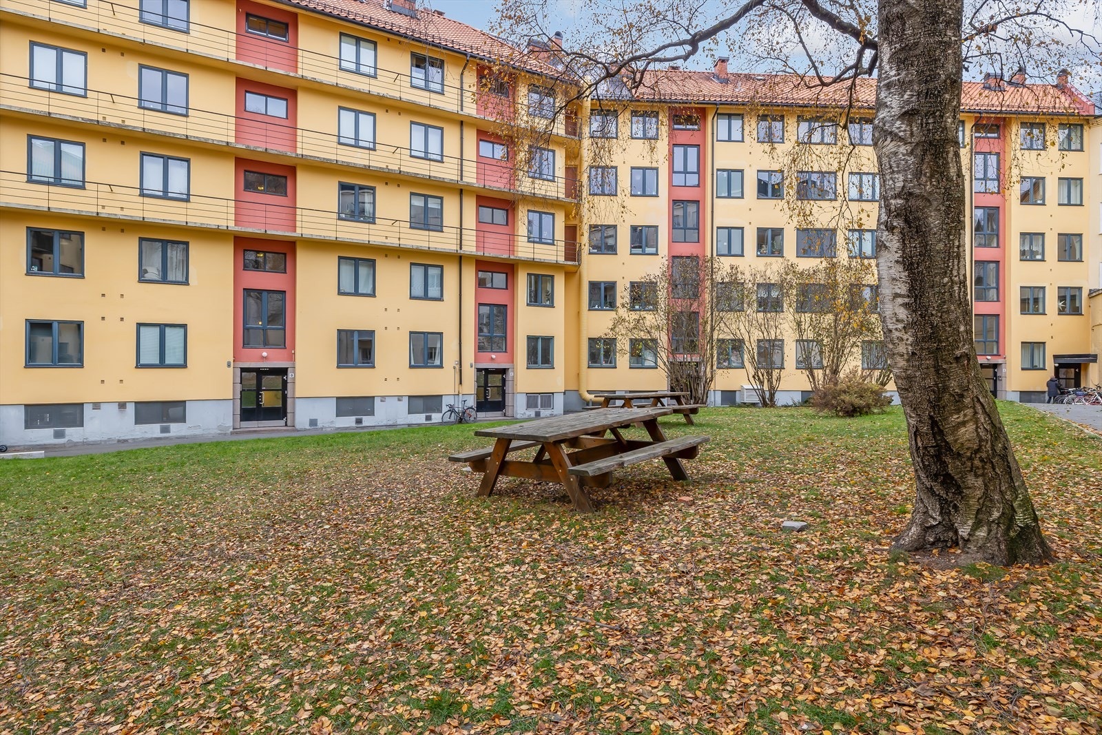 - Hyggelig bakgård - Galleribilde