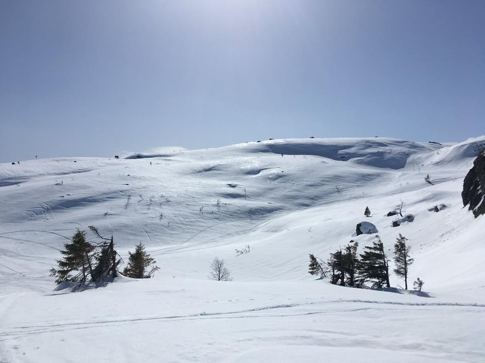 Nydelig skiterreng på Bortelid Galleribilde