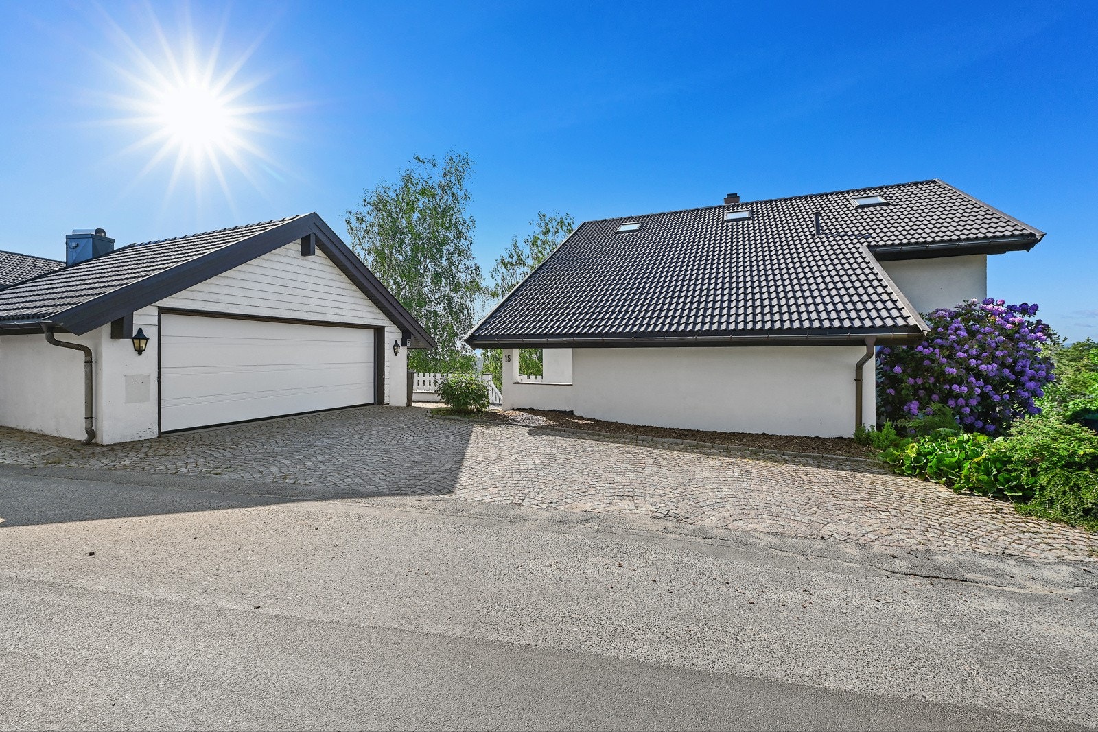 DSC_8242 Galleribilde