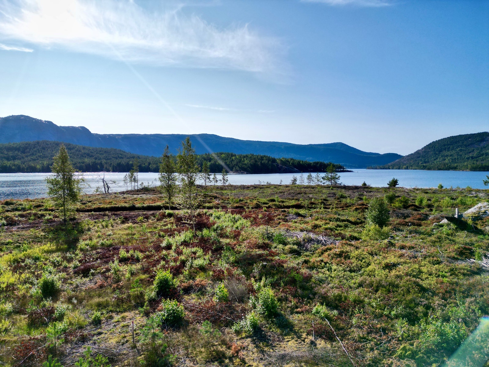 Utsikt fra tomteområdet Galleribilde