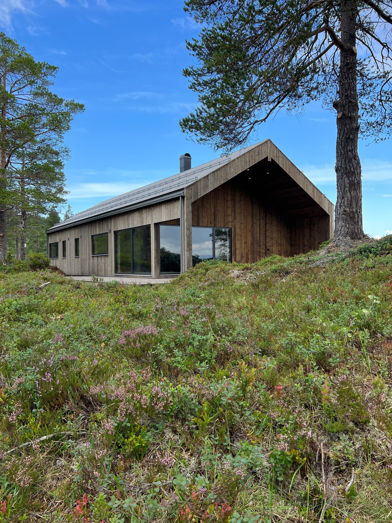 Hytta ligger vakkert til omkranset med furutrær Galleribilde