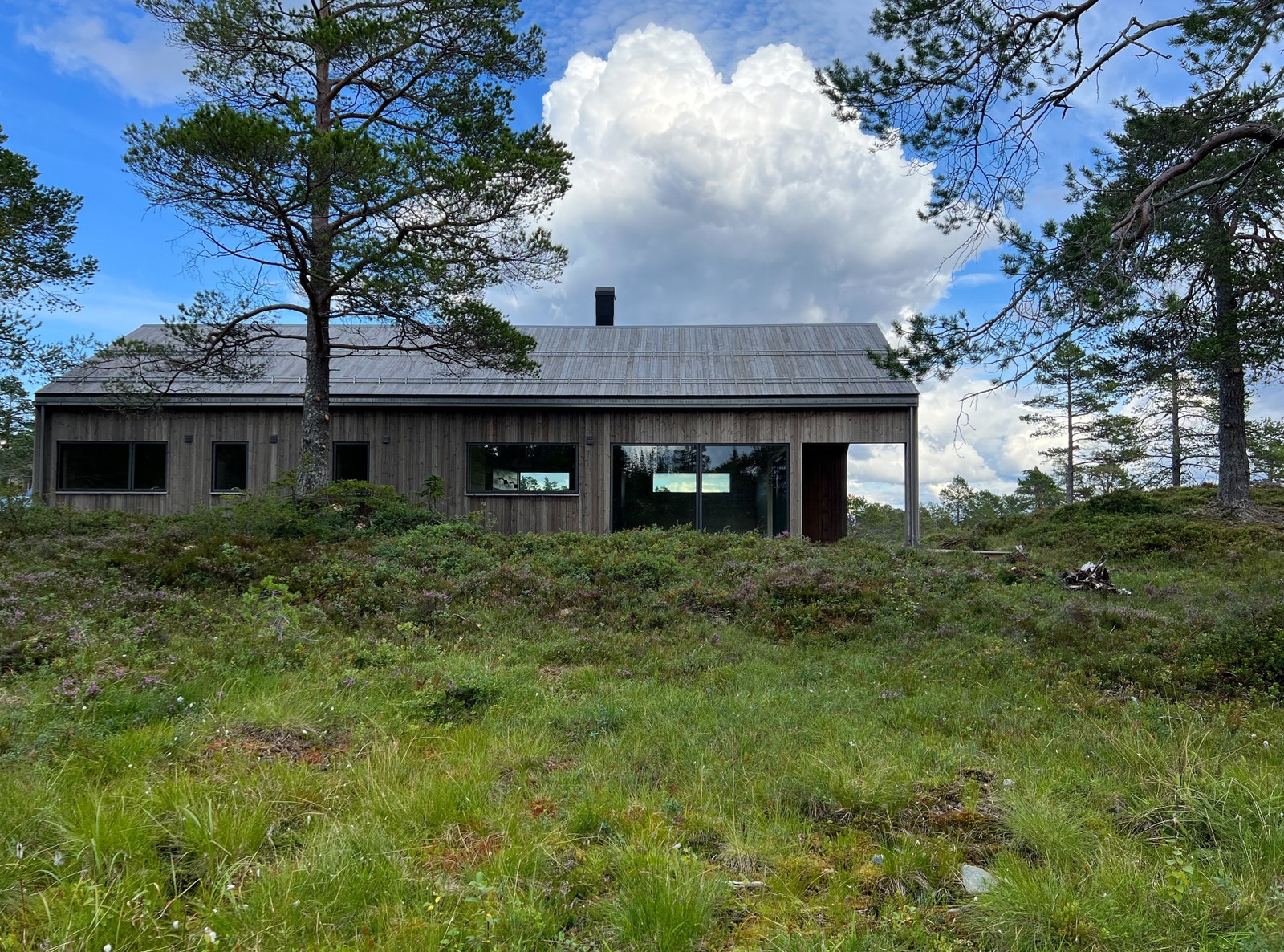 Romslig tomt på over et mål med friarealer på alle sider Galleribilde