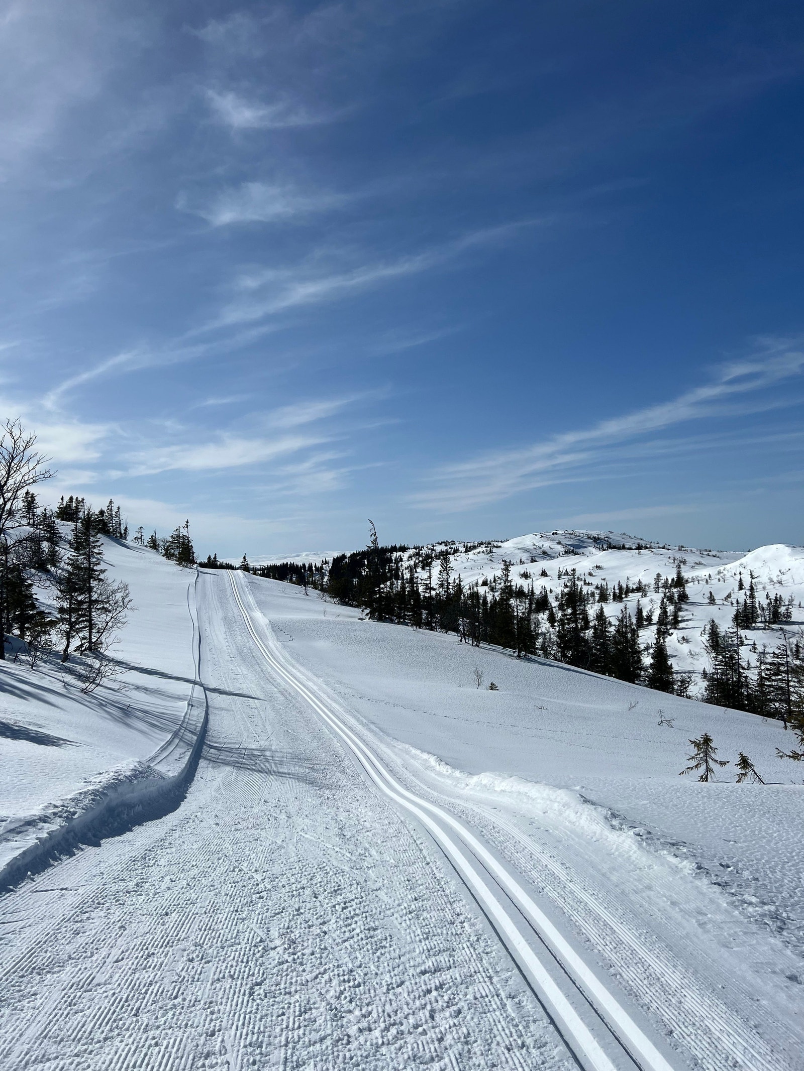 Snøsikkert og fine skispor Galleribilde