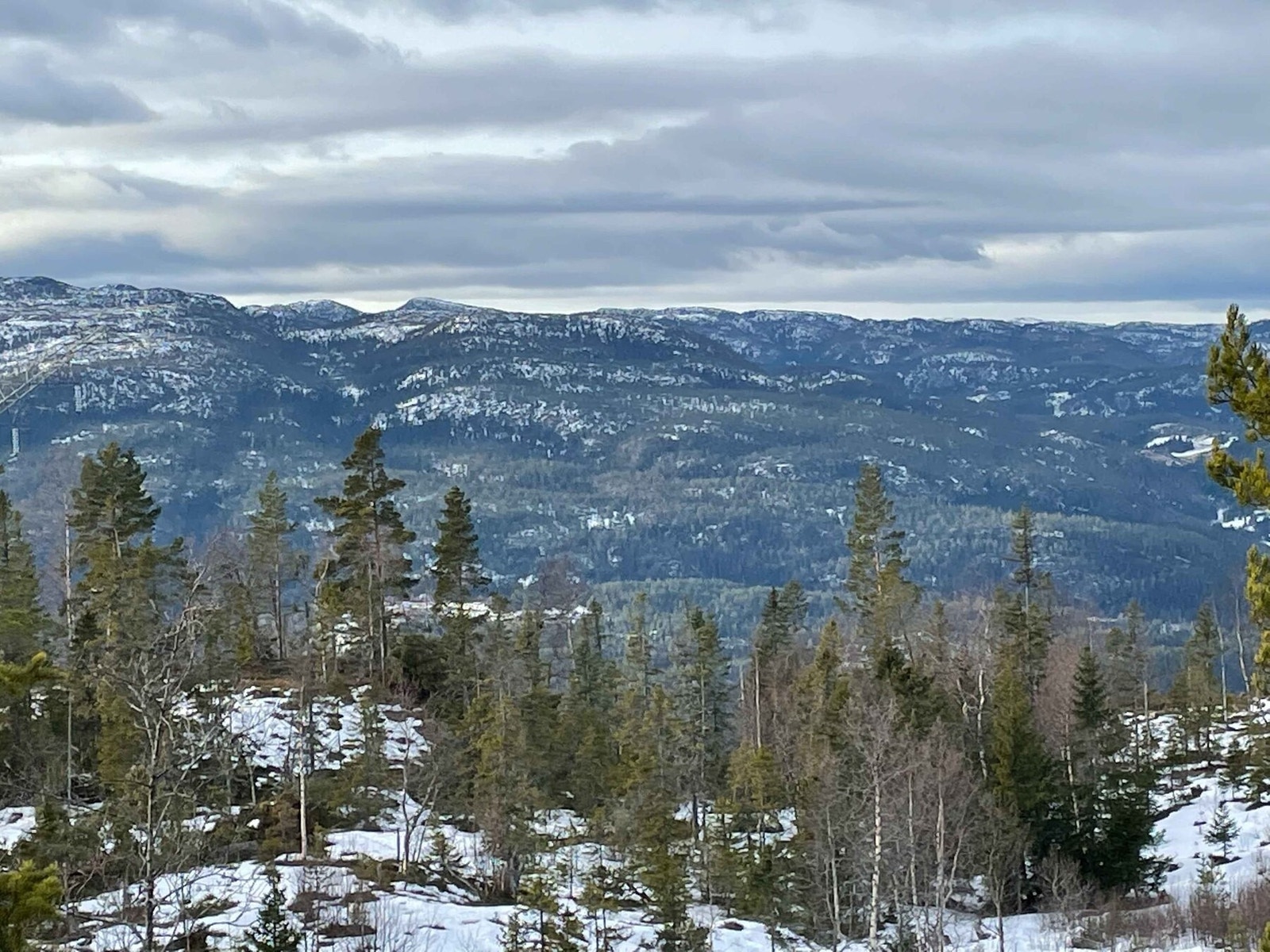 Foto fra tomt T6 Galleribilde