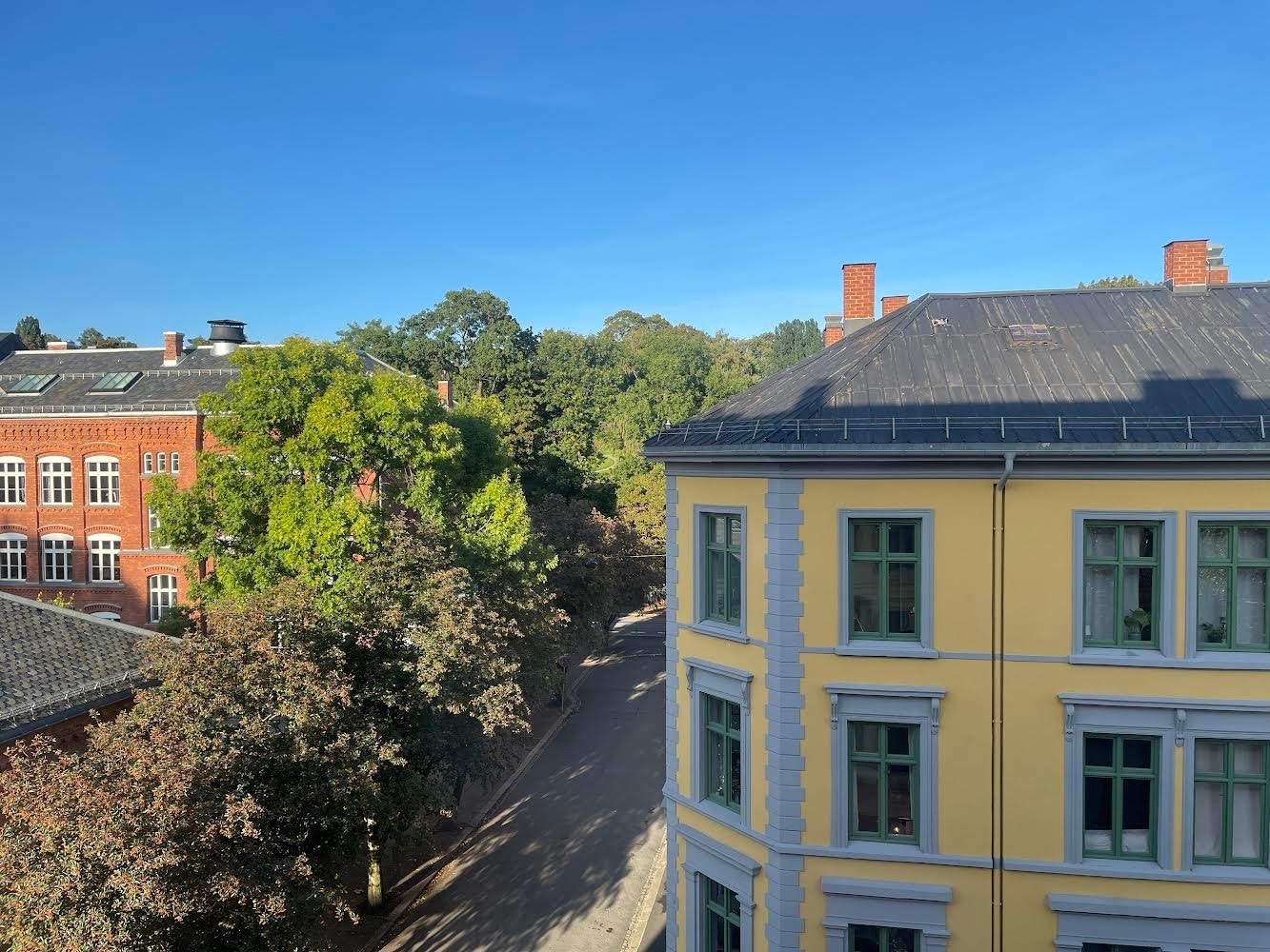 Selgers bilde - utsikt fra spisestue mot Botanisk hage. Galleribilde