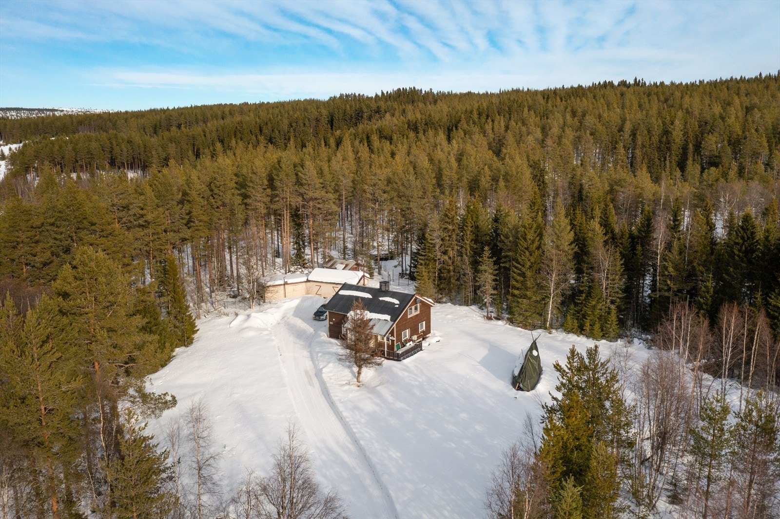 Velkommen til Bjørkeveien 335! Galleribilde