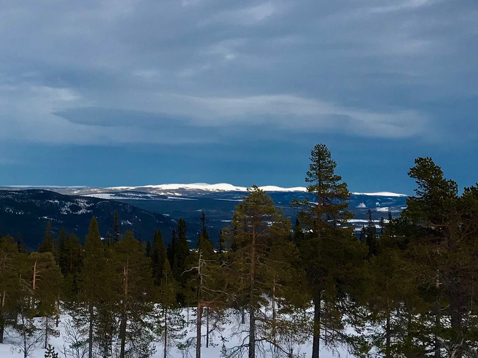 Herlig utsikt mot fjellene. Galleribilde