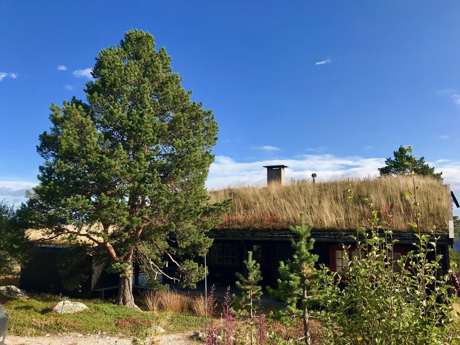 Selgers private bilder fra sommerstid. Galleribilde