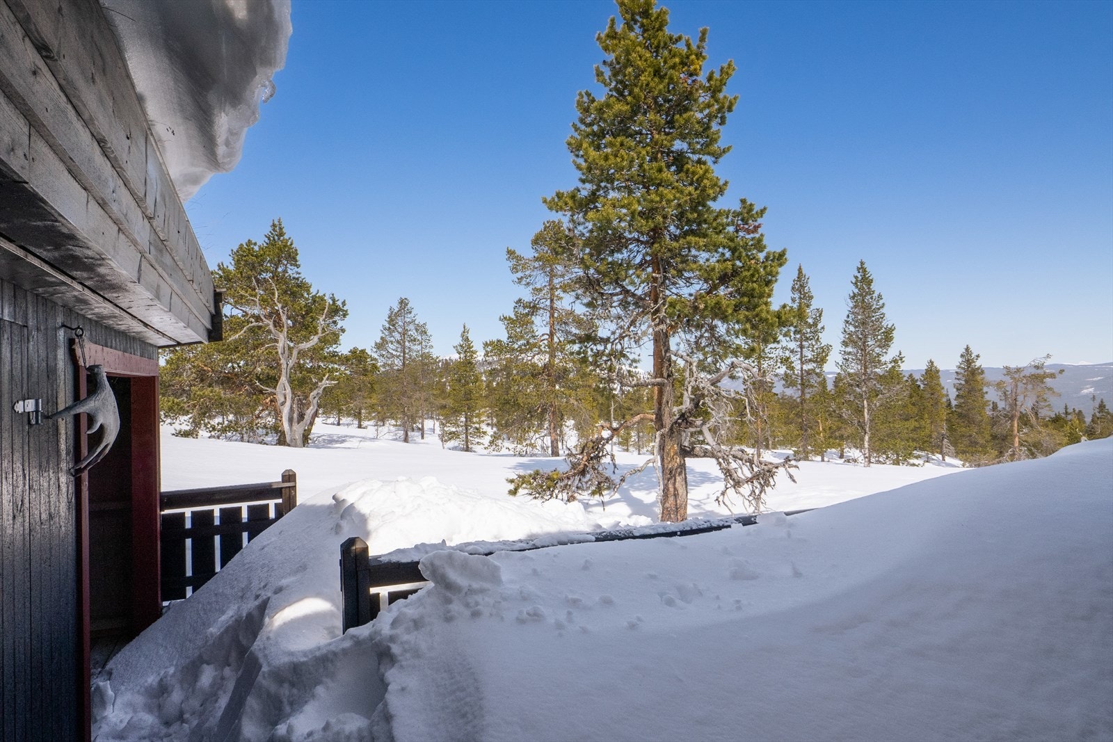 Garantert gode snøforhold i fjellet! Galleribilde