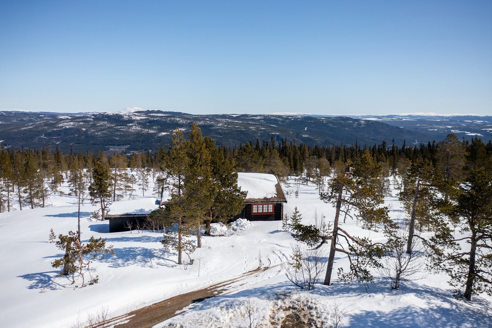 Bilvei helt frem. Galleribilde