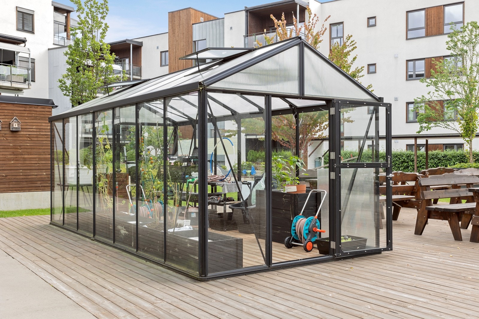 I drivhuset blir det dyrket frem forskjellige vekster. Galleribilde