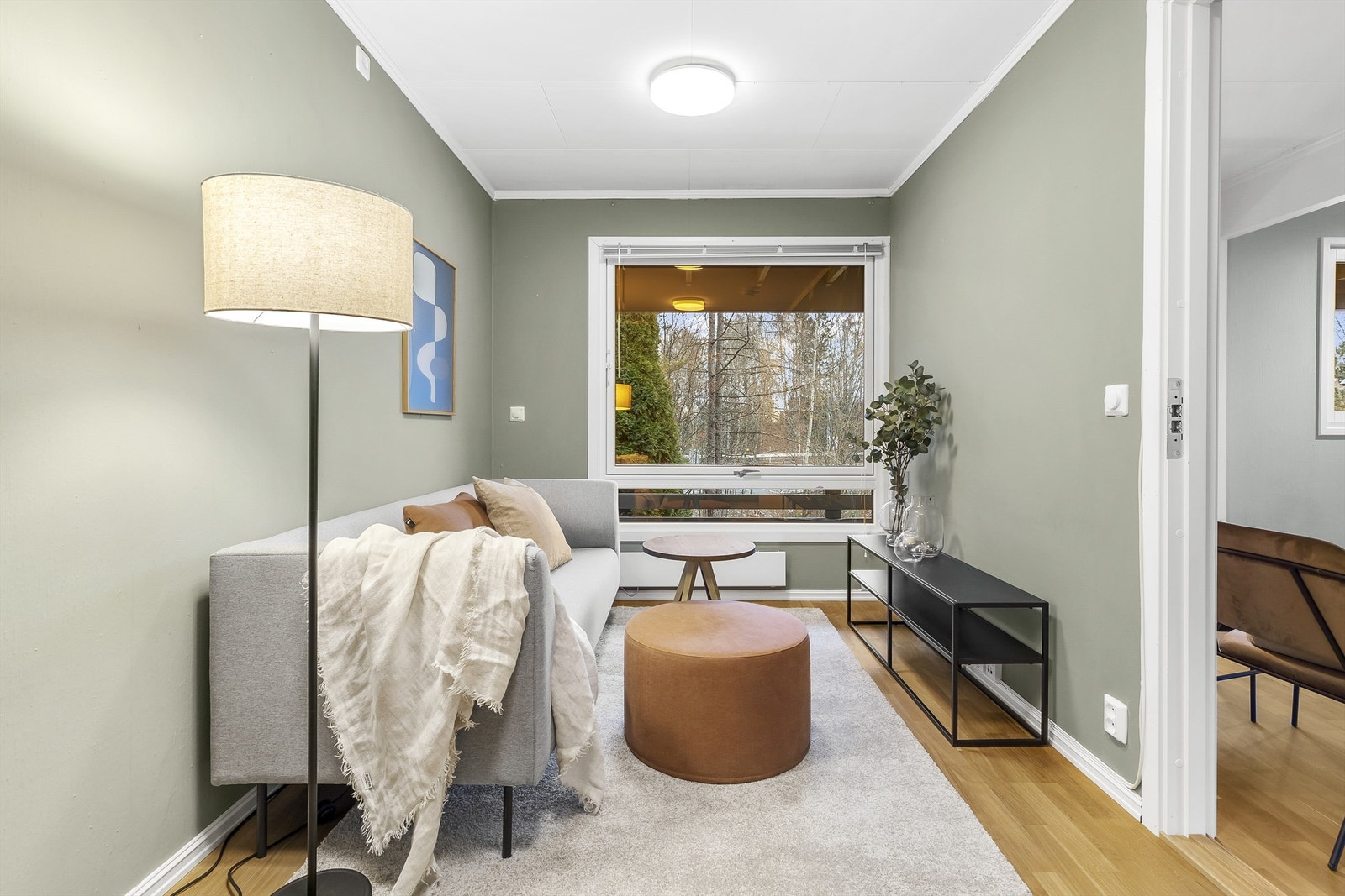 TV-stue/kontor/soverom/bibliotek. Allsidig rom innenfor stuen. Galleribilde