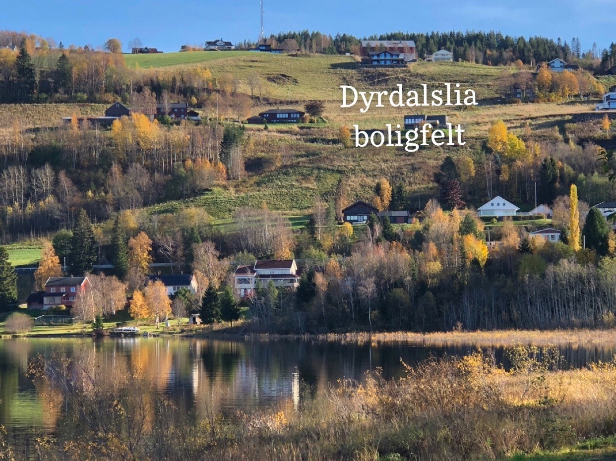 Dyrdalslia boligfelt sett fra Havernesset / Selbusjøen Galleribilde