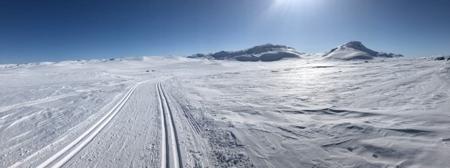 Flotte skiløyper Galleribilde