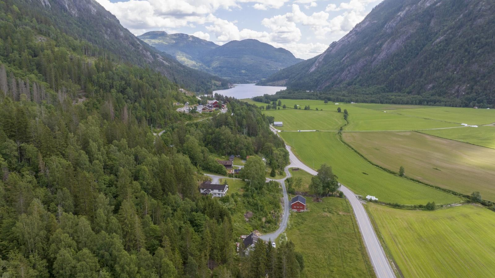 Oversiktsbilde Galleribilde