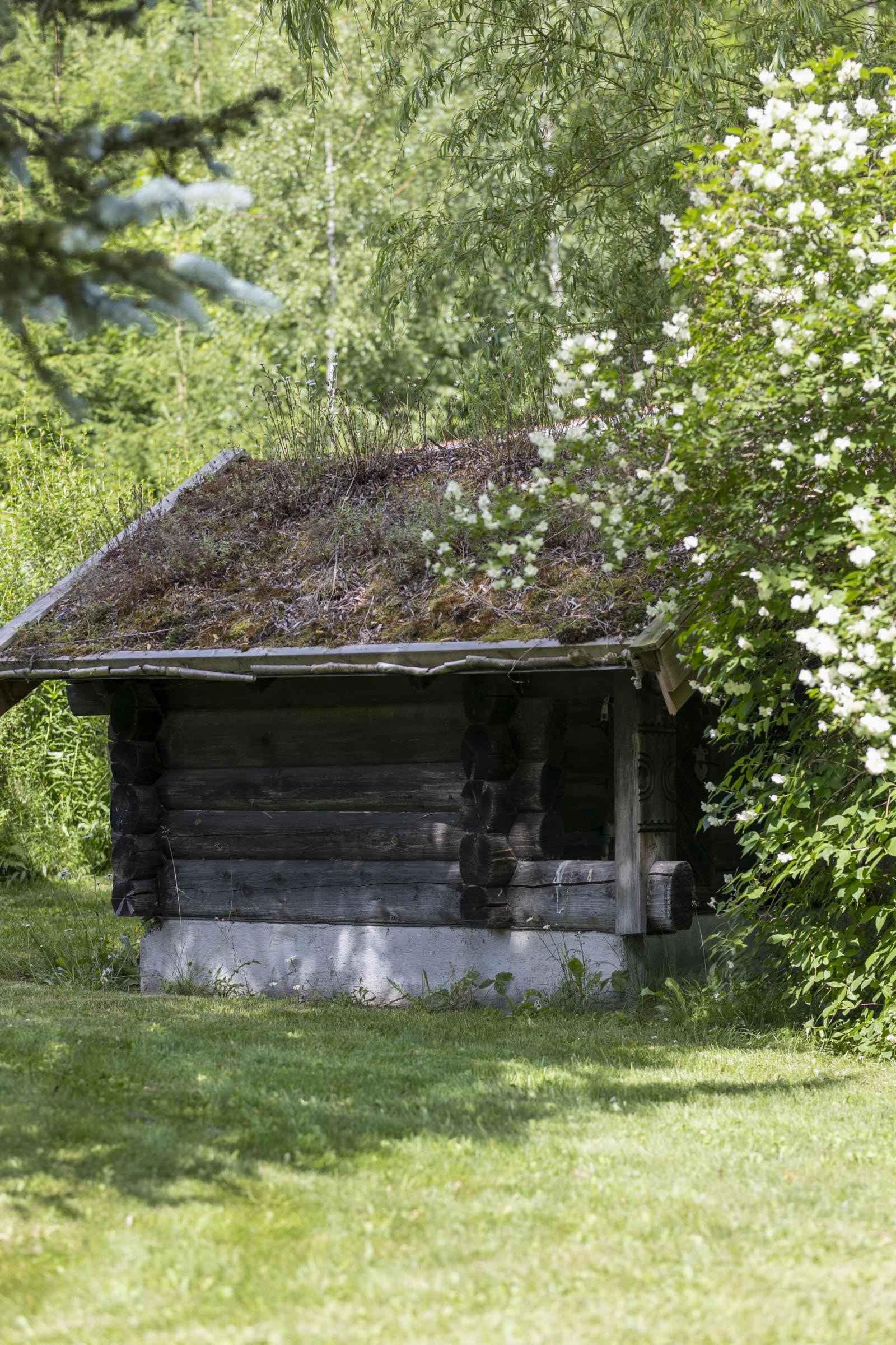 Uthus i hagen Galleribilde