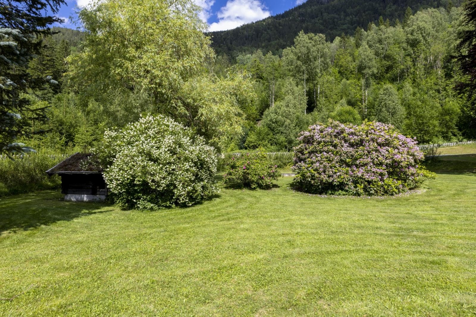 Hagebilde Galleribilde