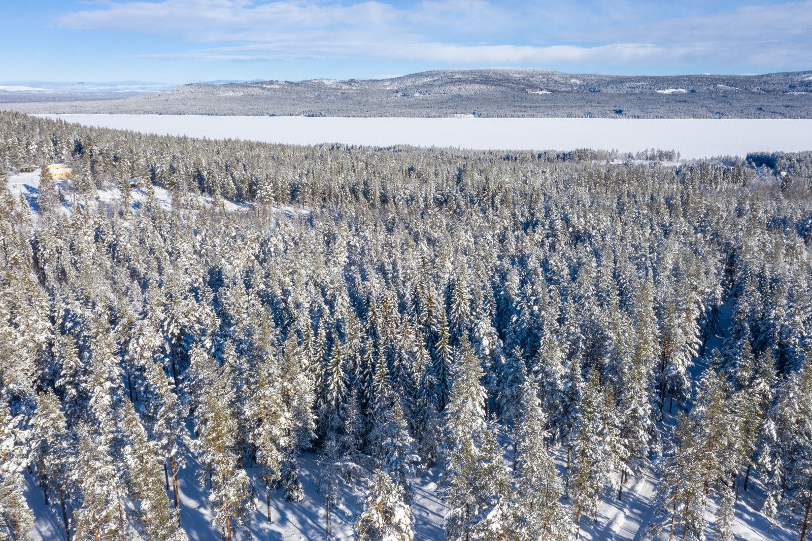 Hyttetomt med utsikt mot Osensjøen. Galleribilde