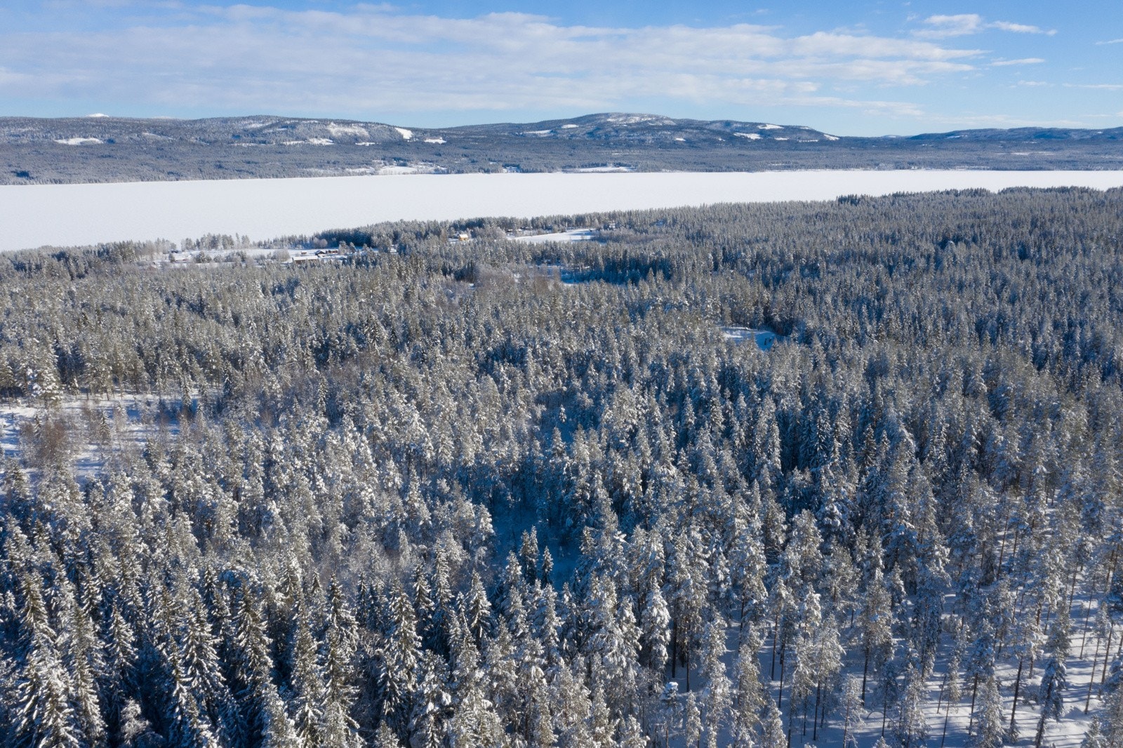 Velkommen til Moldbergsvegen! Galleribilde