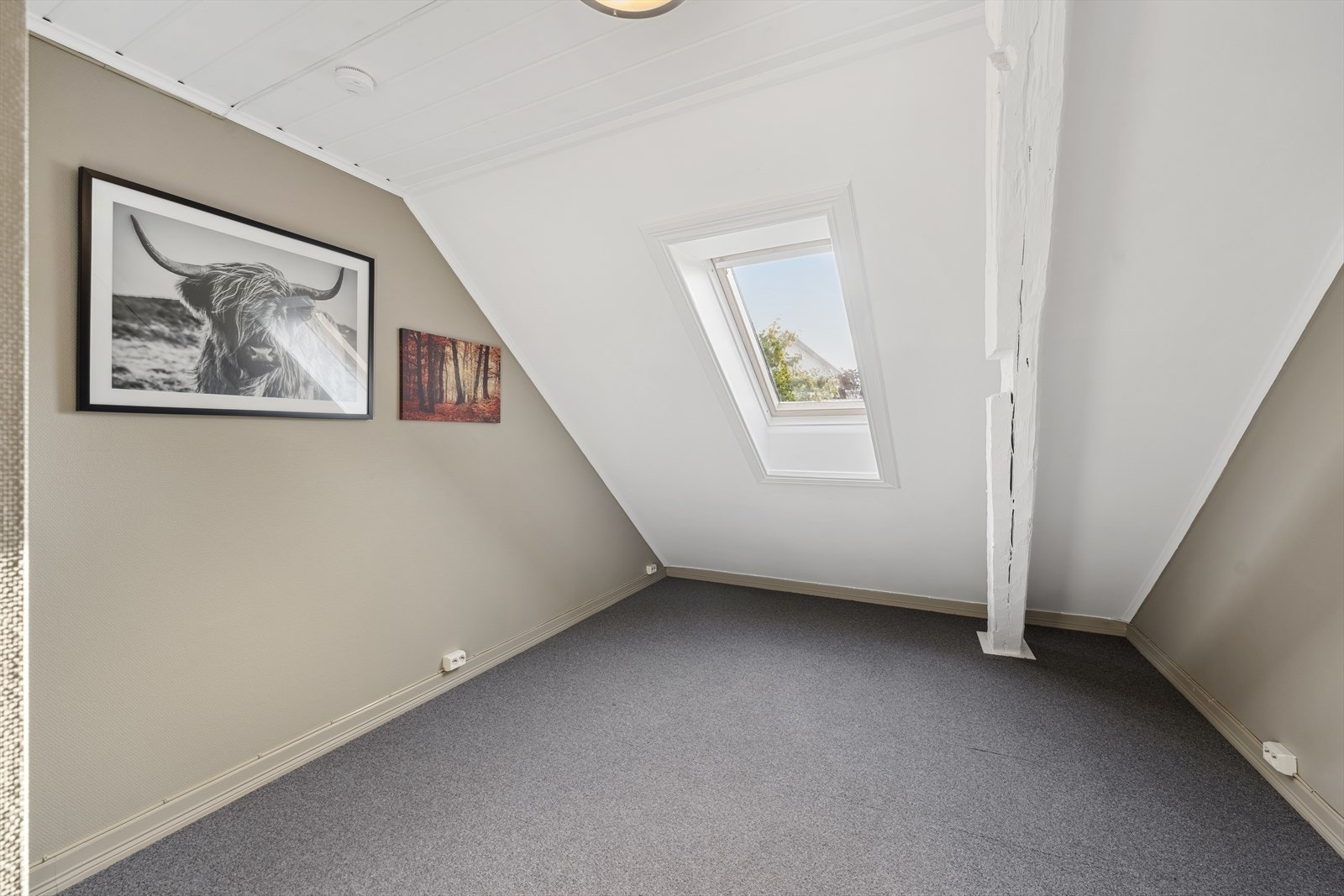 Loftsstue/gang Galleribilde