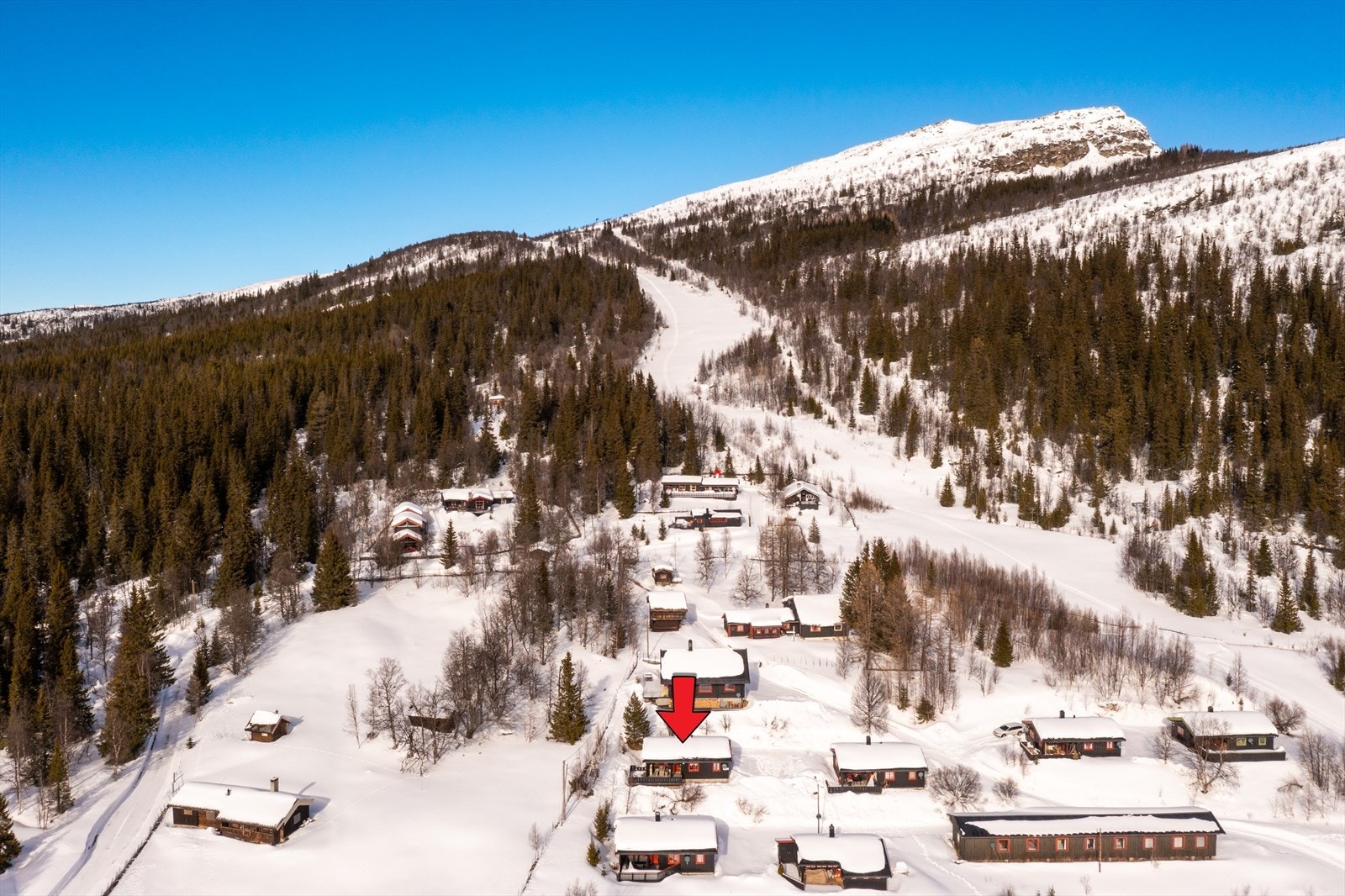 Velkommen til Skjerdingen 221! Galleribilde