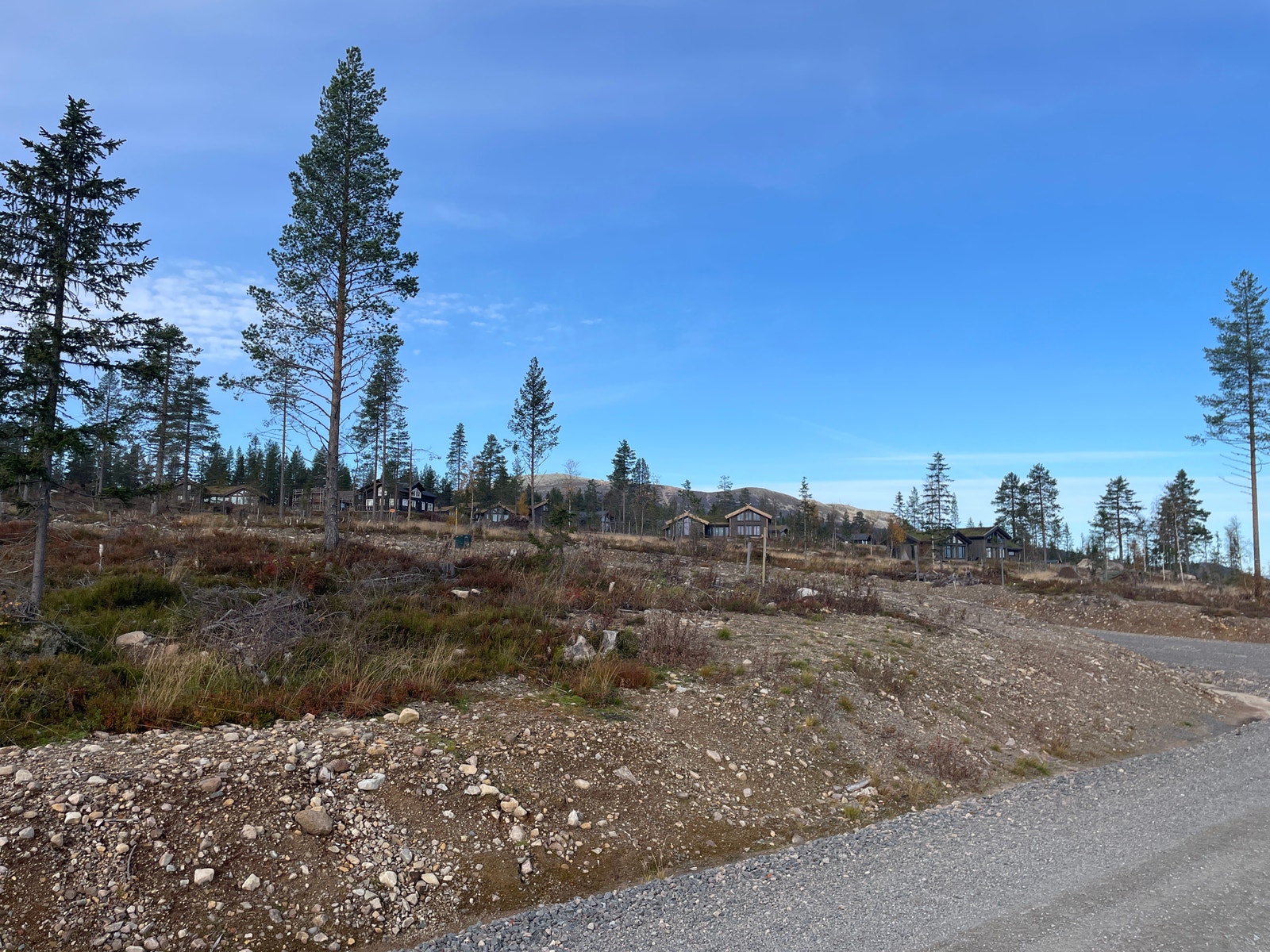 Bilde i fra tomten Galleribilde