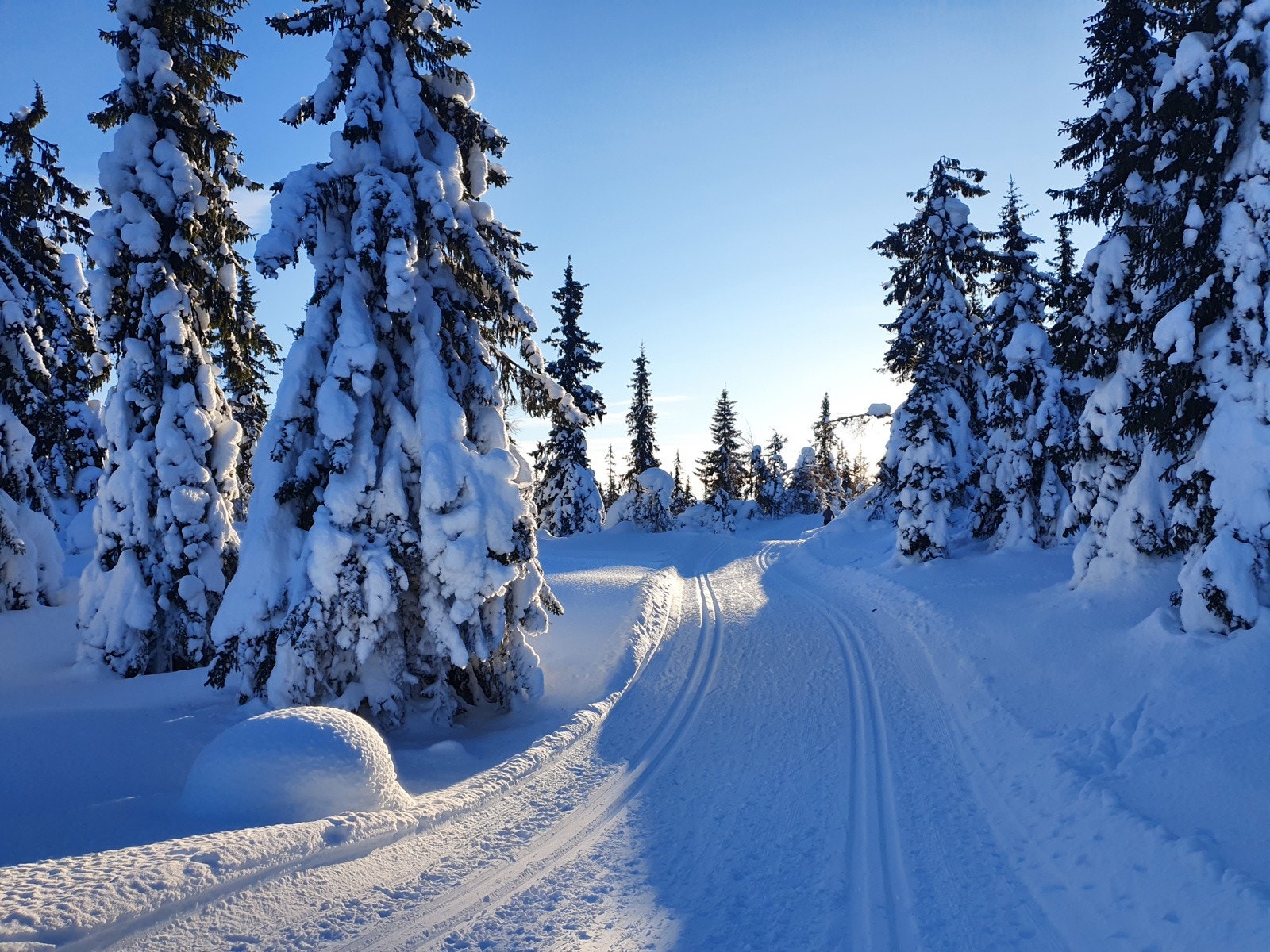 20210213_155614 Galleribilde