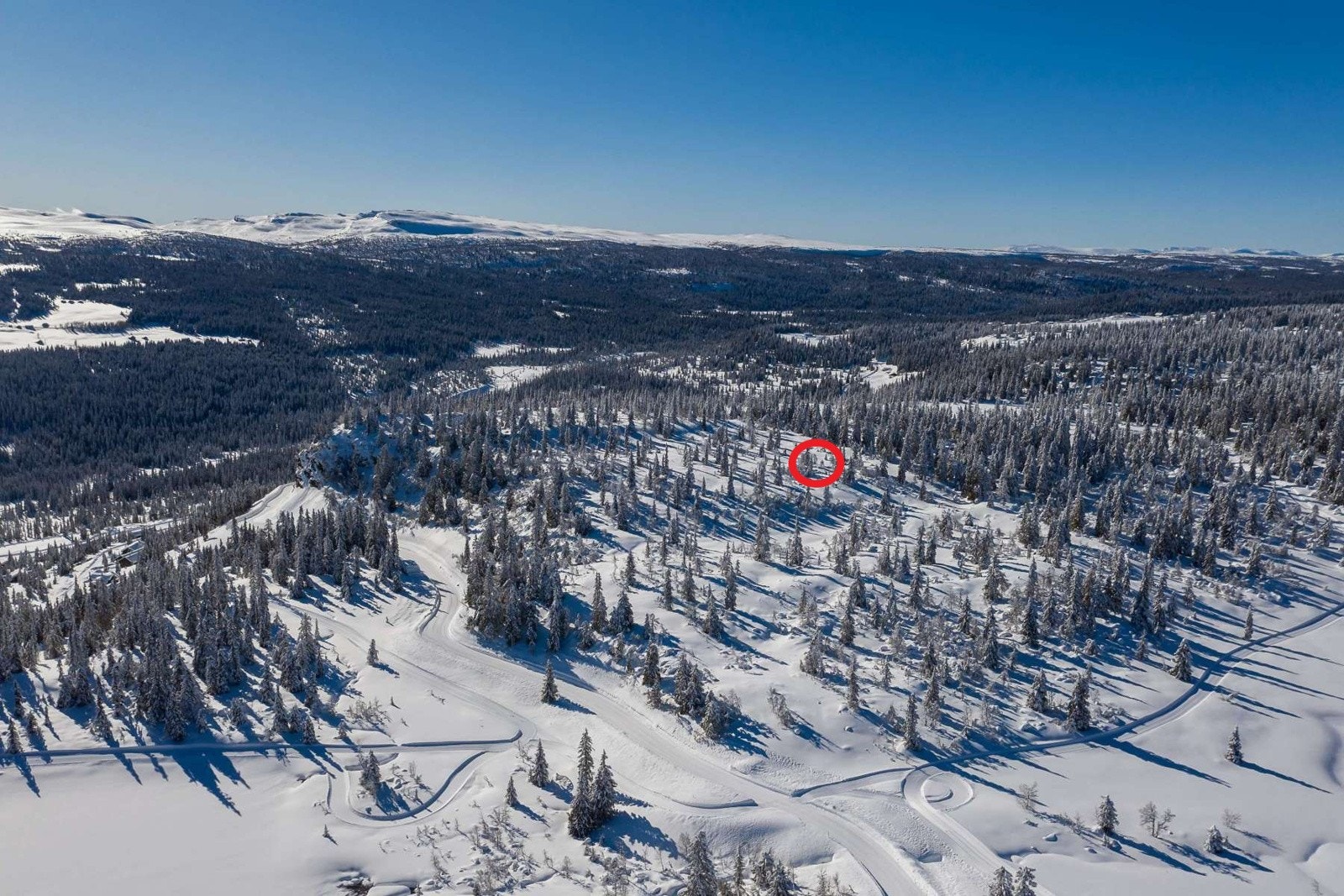 Svartskardvegen 44 Galleribilde