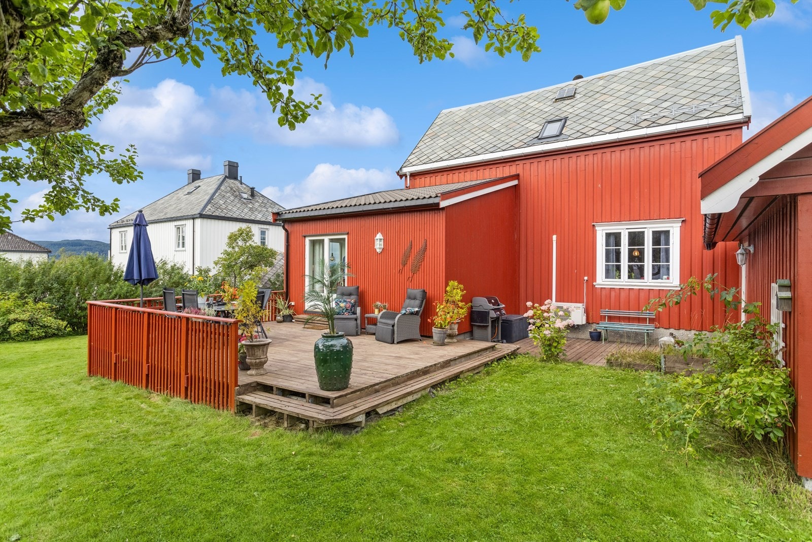 Fra hagen en flott sommerdag i 2023. Galleribilde