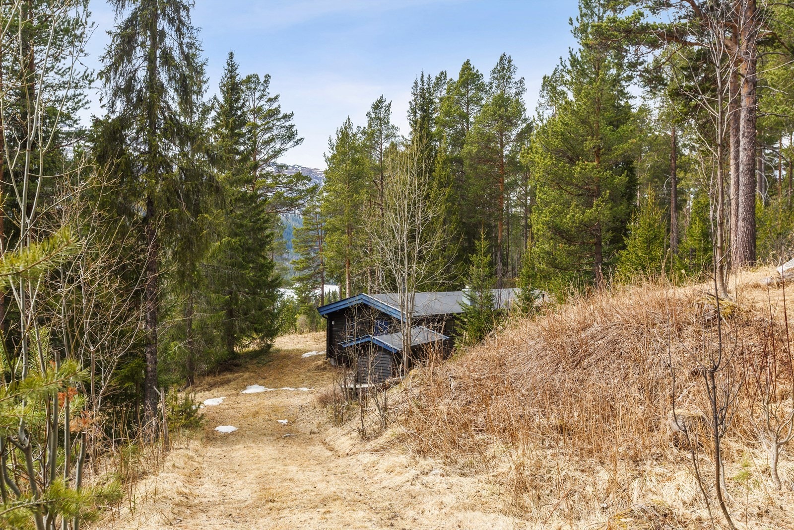 Bilvei helt frem og parkering rett ved hytta Galleribilde