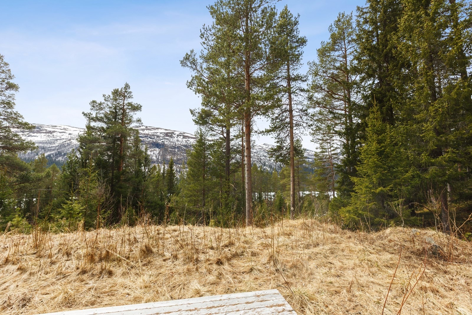 Hytta ligger i flotte omgivelser i Espedalen Galleribilde