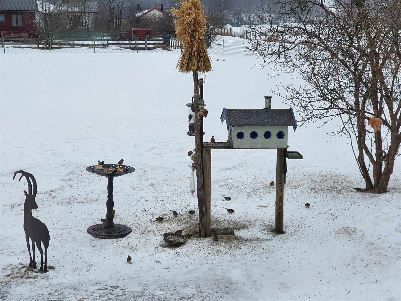 Flere fine uteområder hvor du kan nyte roen Galleribilde