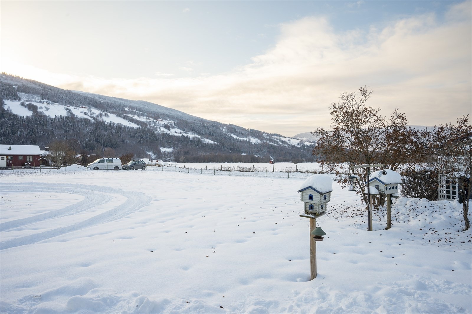 Eiendommen grenser dels mot jordbruksareal og ligger fritt og fint til Galleribilde