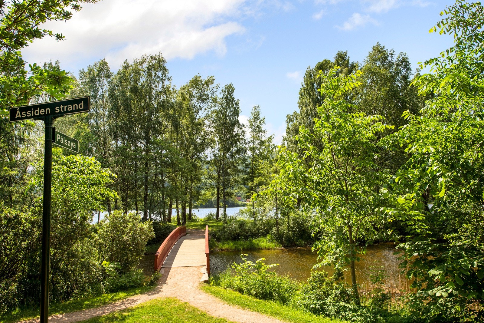 Pålsøya Park, en idyllisk liten øy i tøffelavstand fra leiligheten Galleribilde