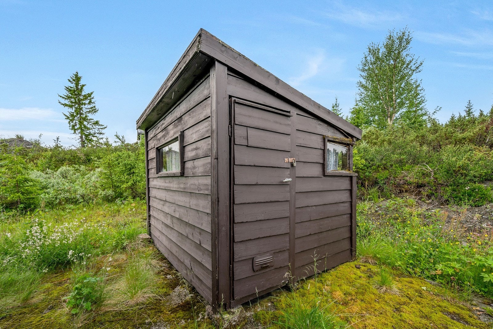 Frittstående uthus. Galleribilde