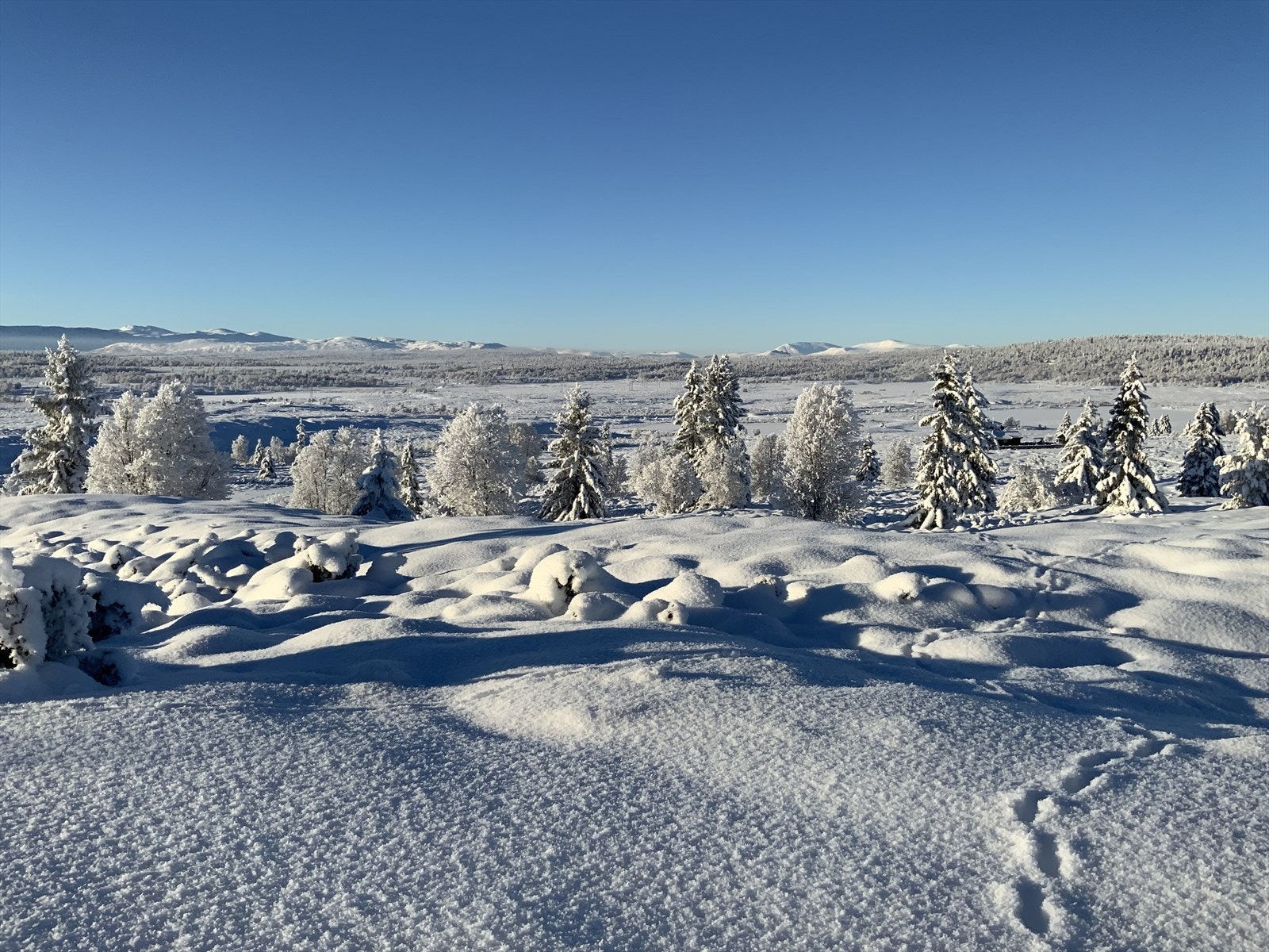 Upåklagelig utsikt fra hytta som ligger i åpent terreng Galleribilde