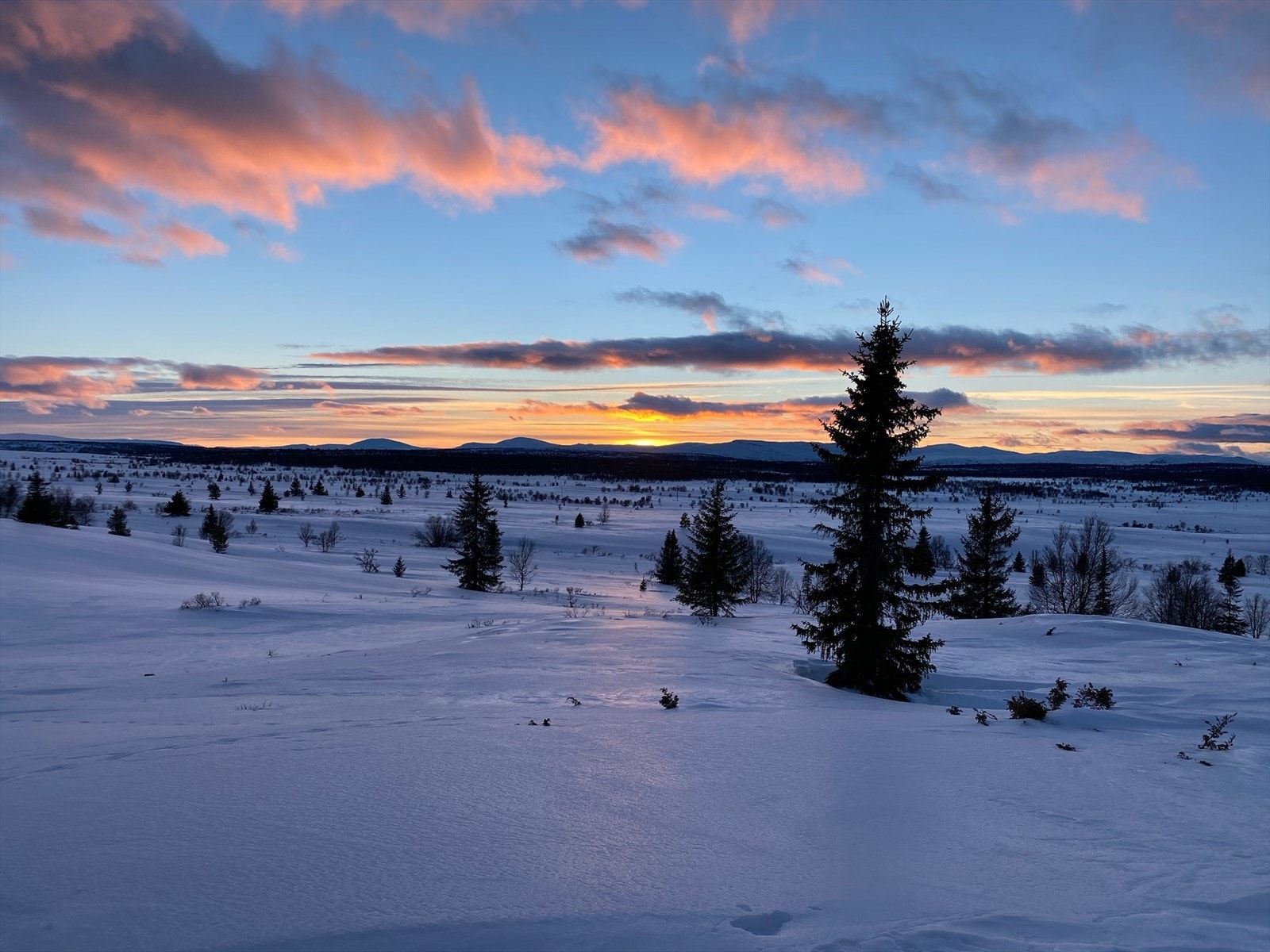 Solnedgang fra hytta Galleribilde