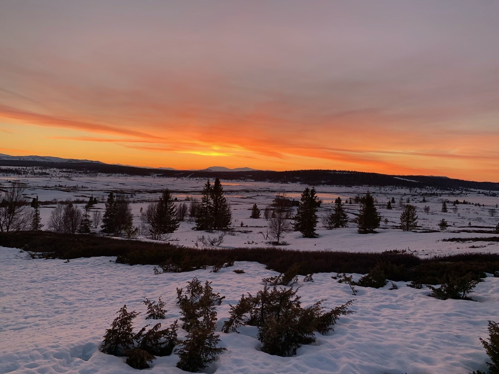 Solnedgang fra hytta Galleribilde