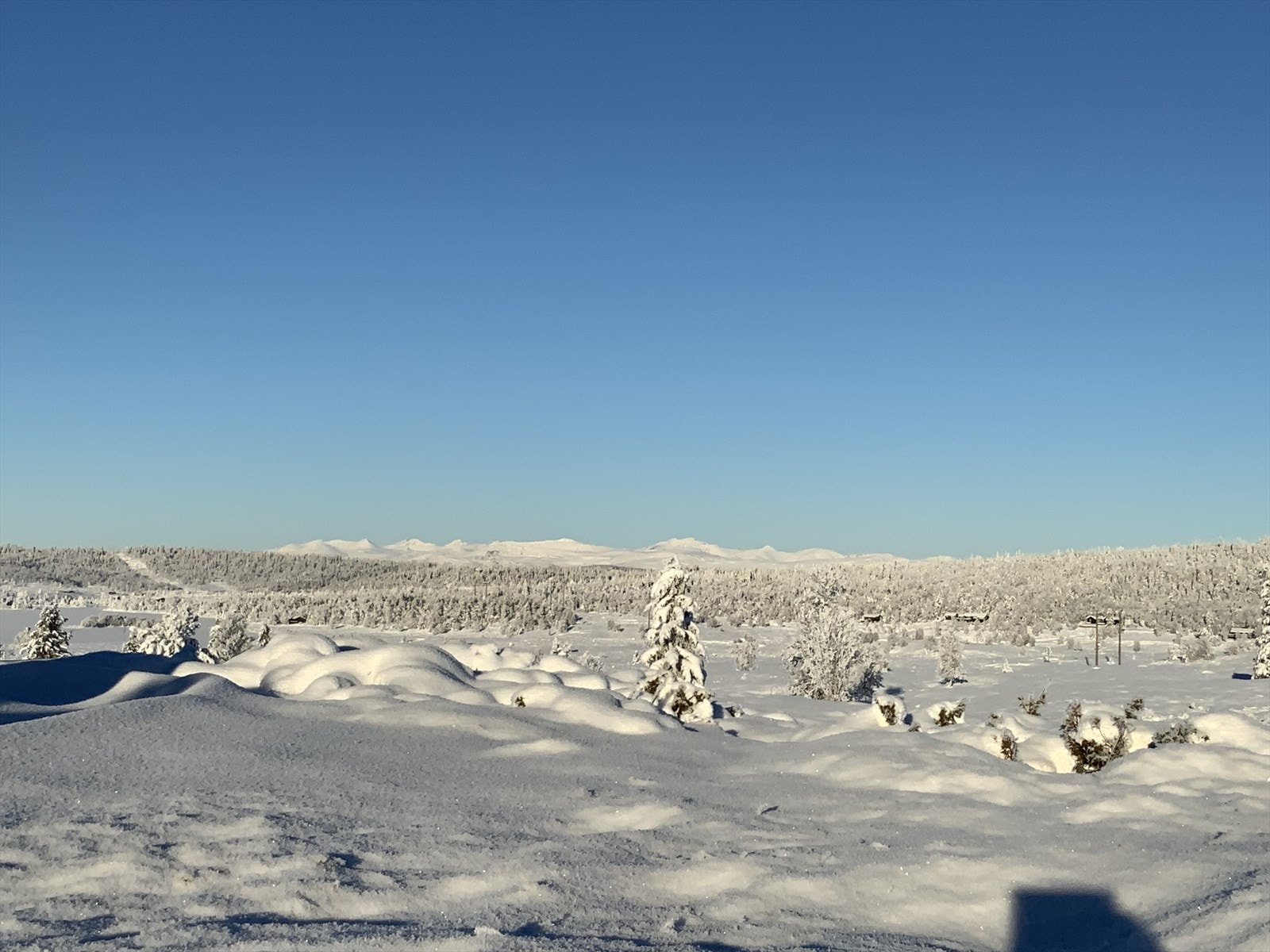 Mot Rondane Galleribilde