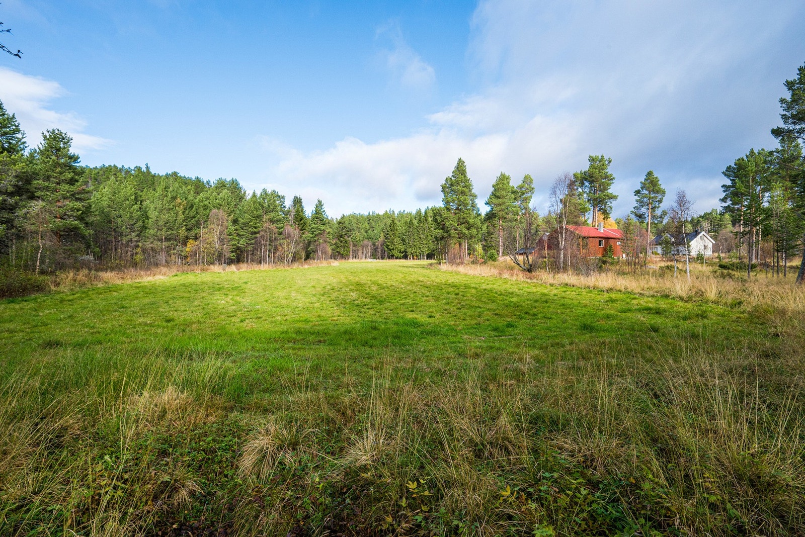 Produktiv skog utgjør 27,5 mål Galleribilde