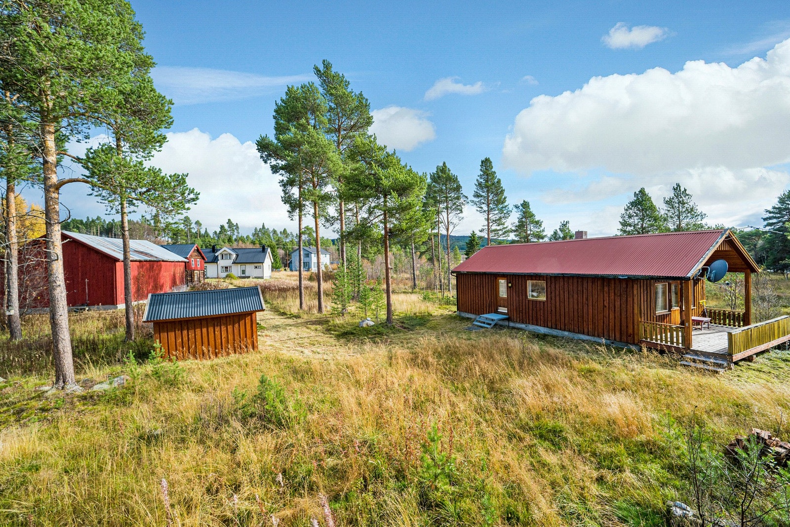 Velkommen til en hyggelig visning! Galleribilde