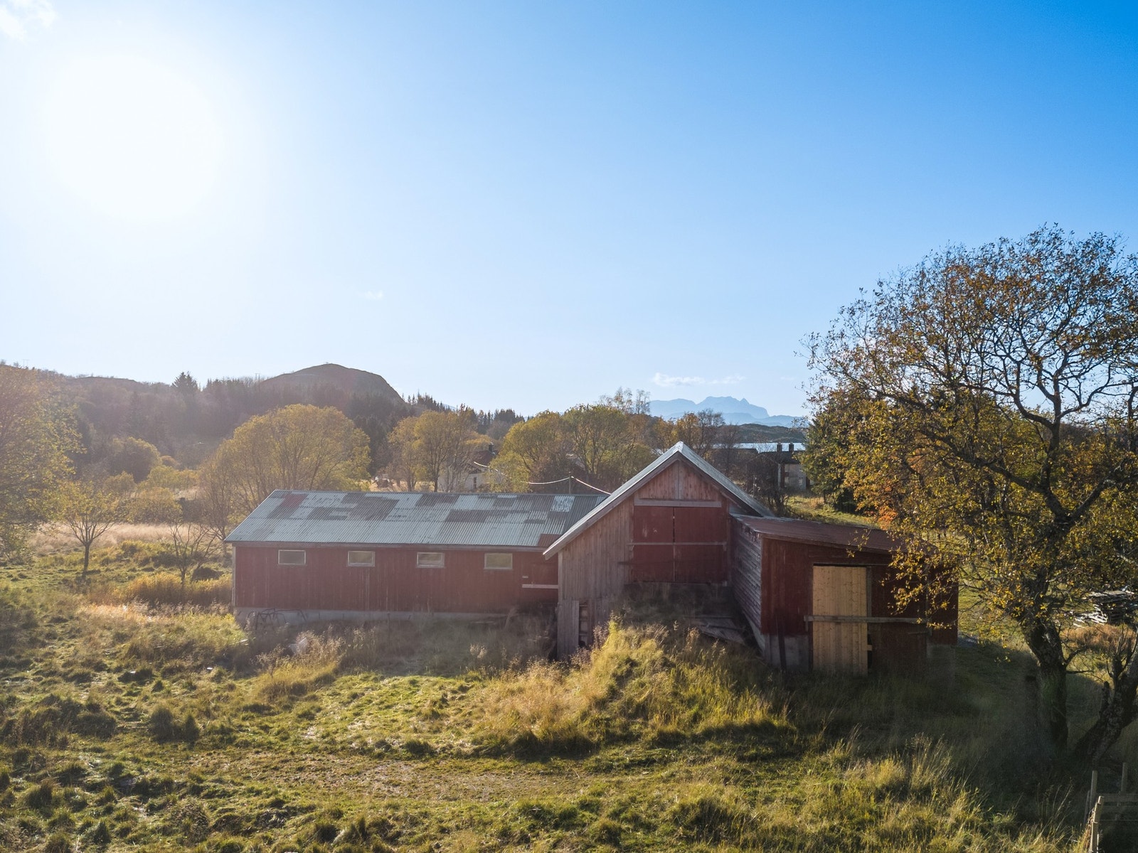 Her har det blant annet vært sauer. Galleribilde