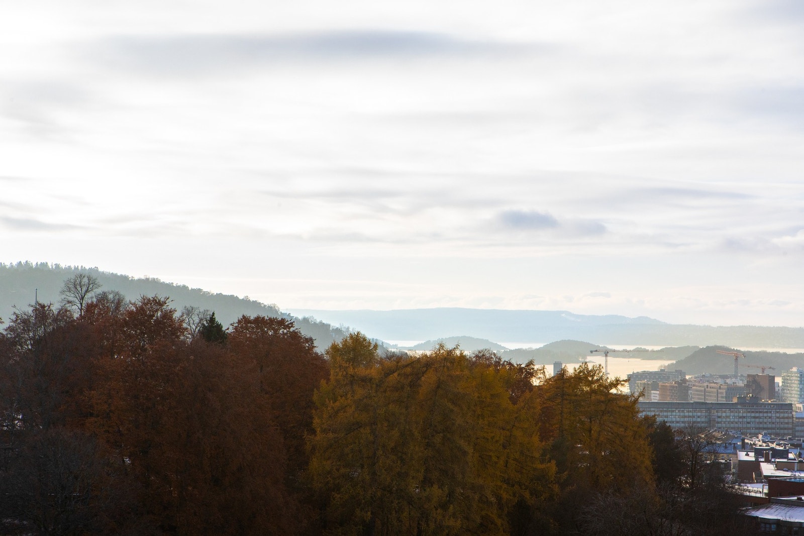 Utsikt mot fjorden. Galleribilde