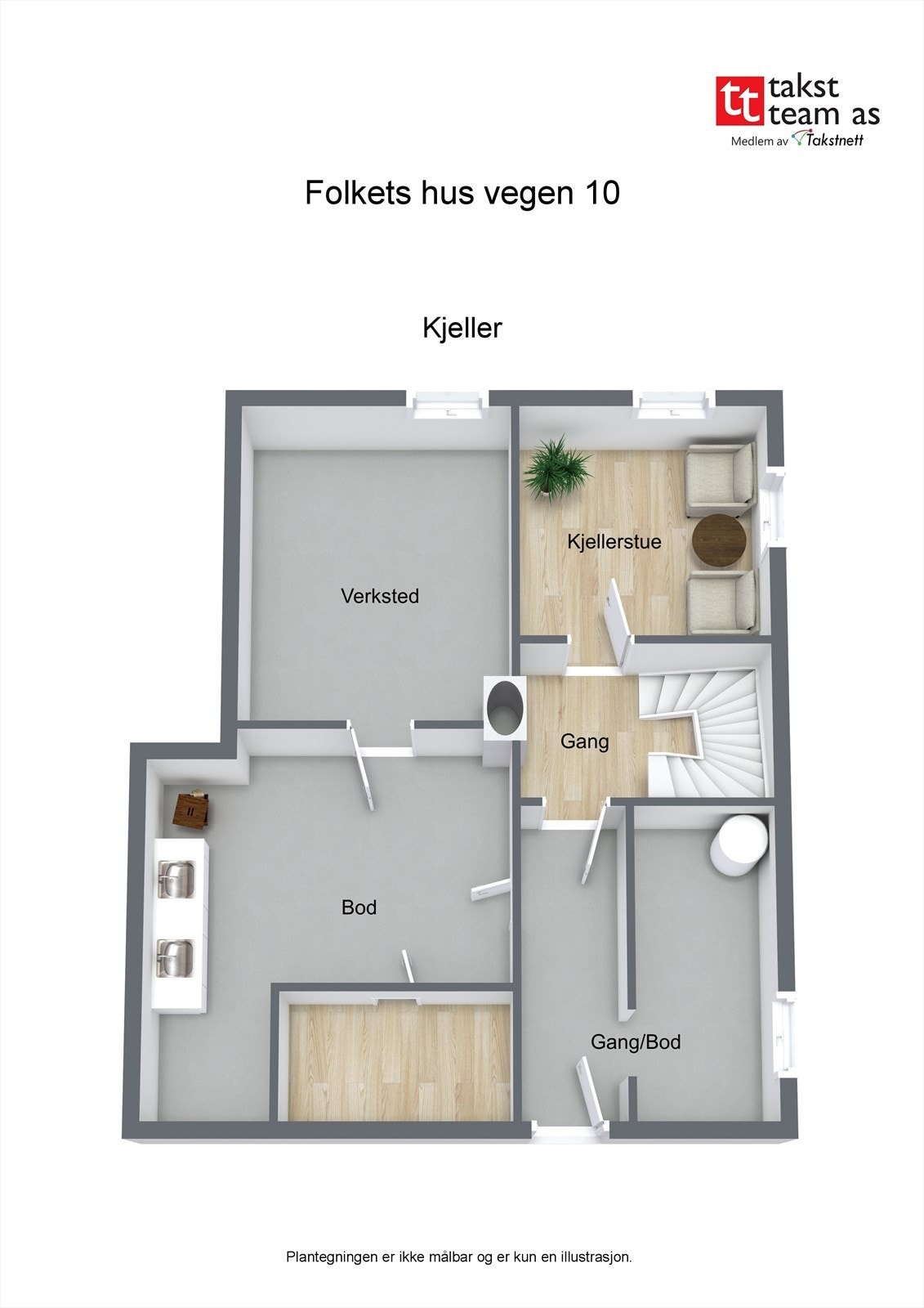 Planksisse kjeller Galleribilde