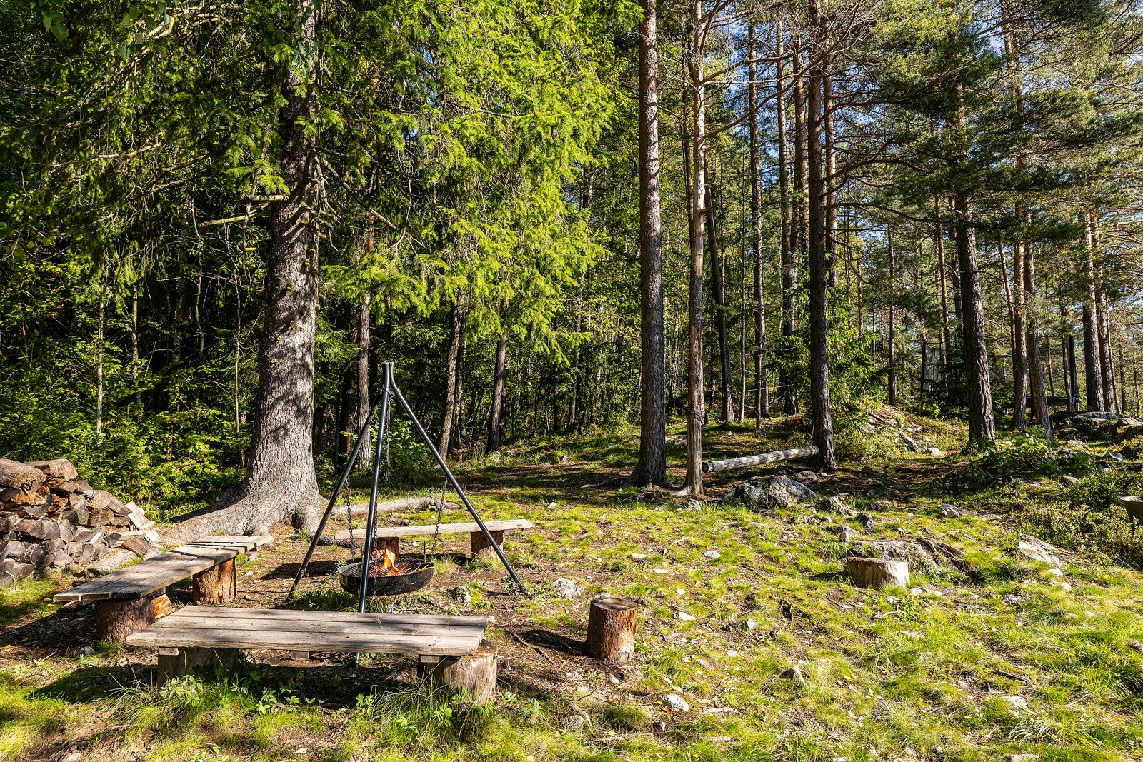 Fine turområder rett utenfor dørstokken! Galleribilde