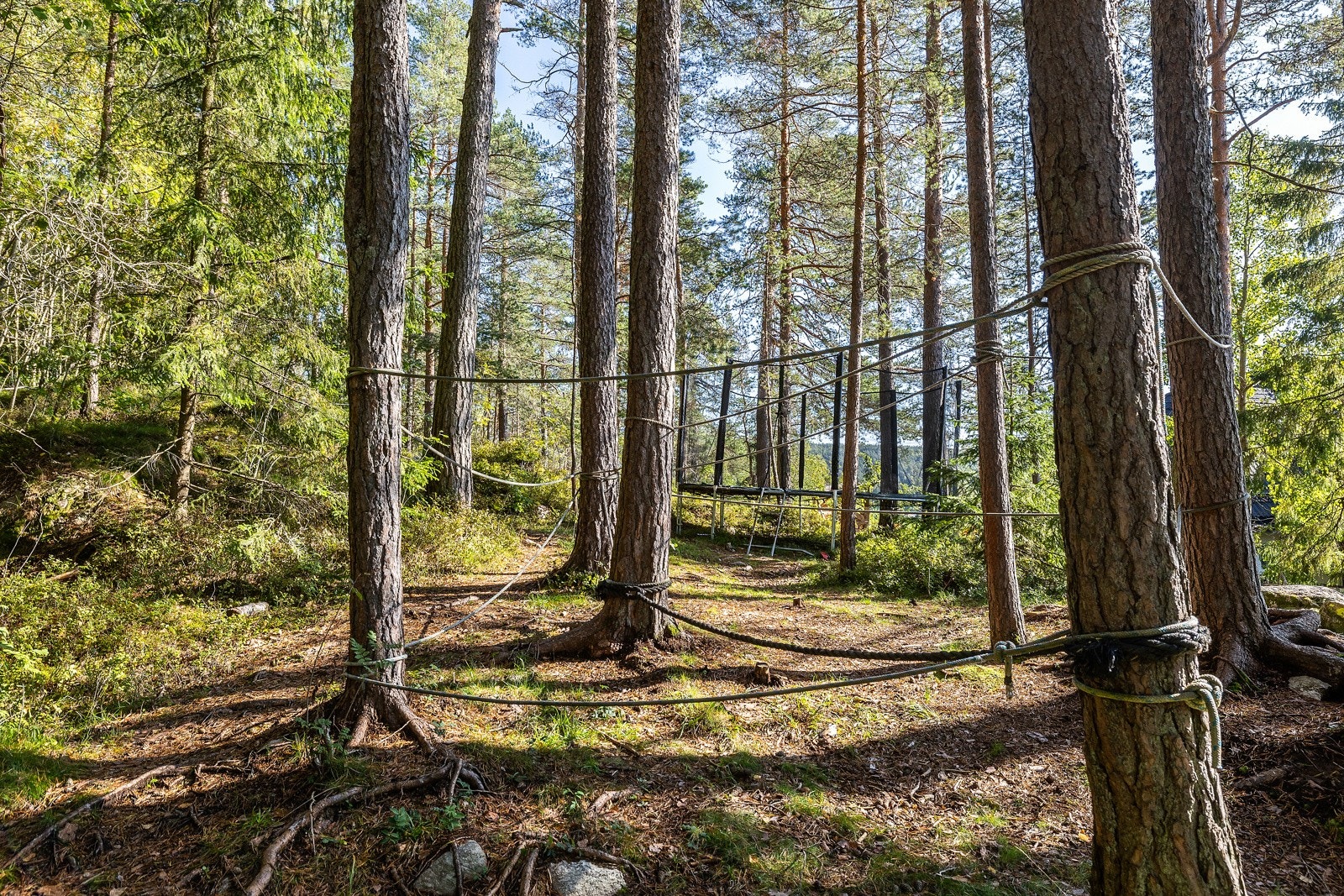 Fine turområder rett utenfor dørstokken! Galleribilde