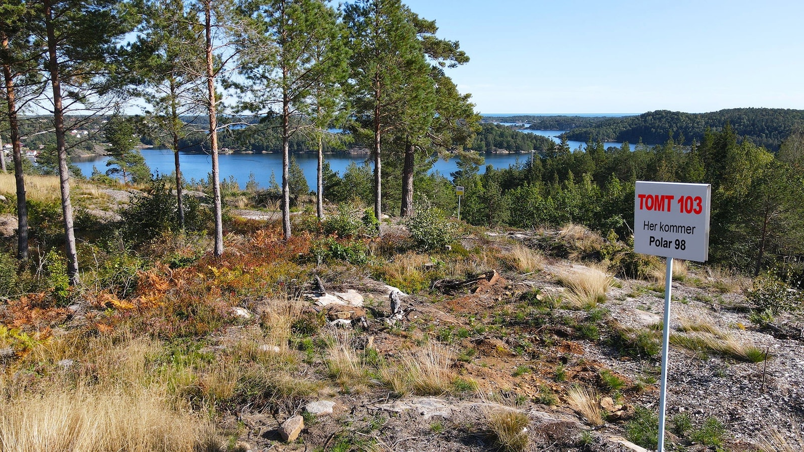 Utsiktsbilde fra tomta. Skogen skal tynnes noe. Galleribilde