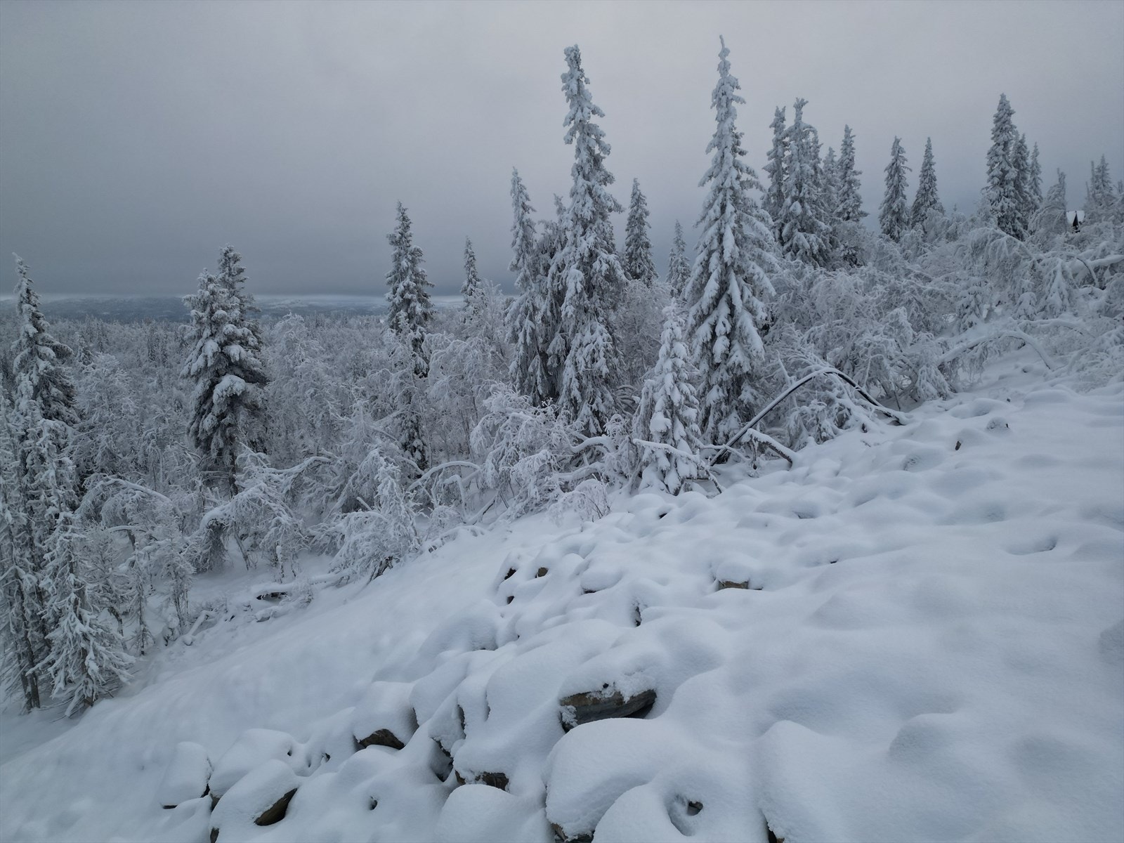 dji_fly_20231112_171112_52_1700470117622_photo.jpeg Galleribilde