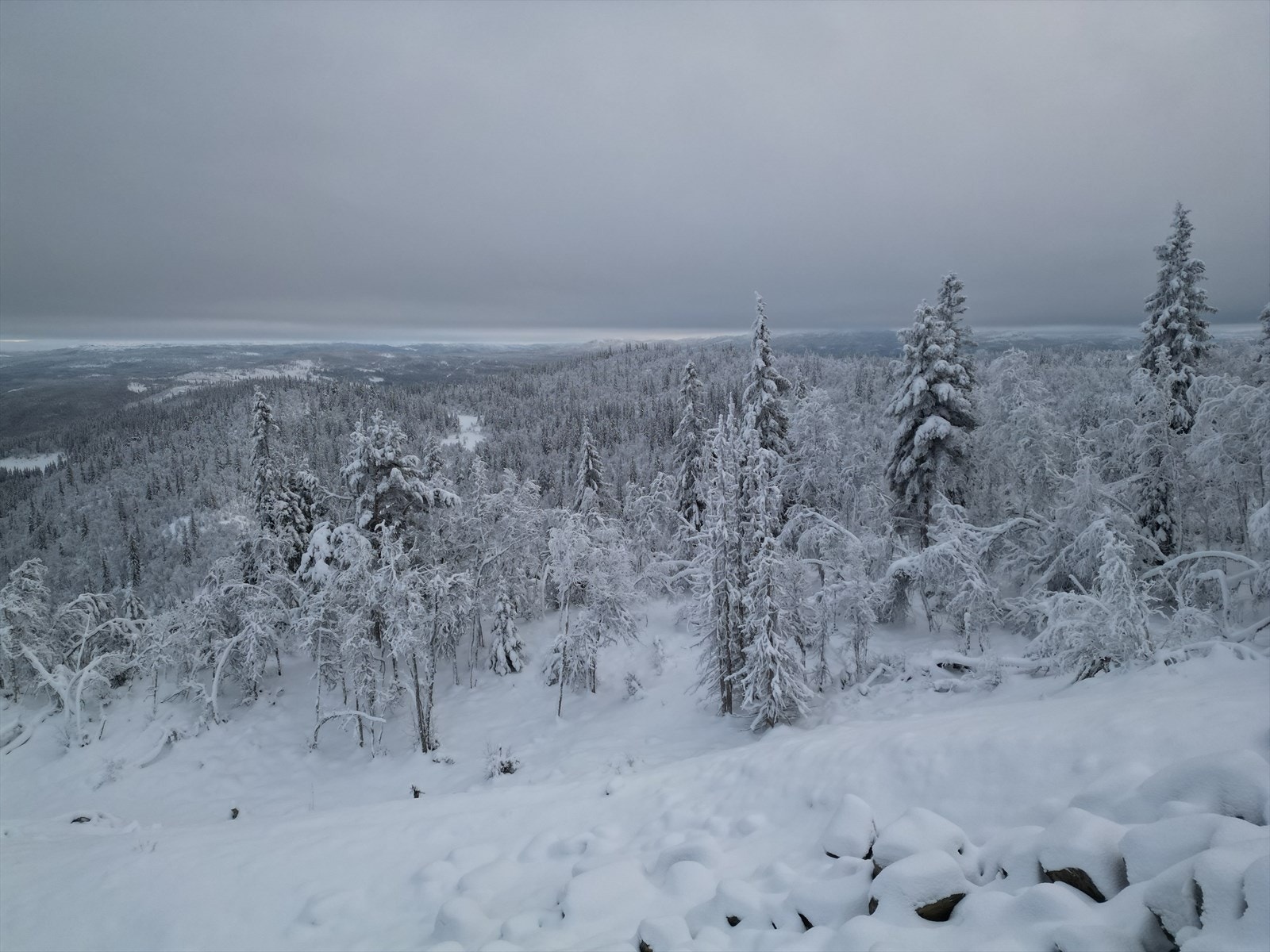 dji_fly_20231112_171108_51_1700470117445_photo.jpeg Galleribilde